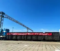 张玉宁和北京国安球迷差点打起来 张玉宁和北京国安球迷差点打起来